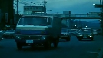 Vintage Travelogue Of Japan In 1973