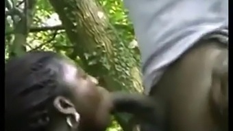Black Ebony Beauty: A Time For African Passion