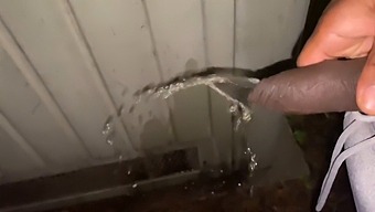 Amateur Gets Paid To Flash And Pee In Public