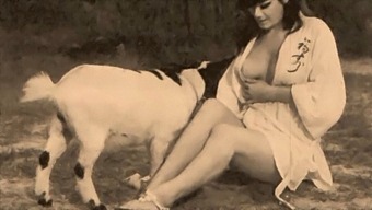 Retro Taboo Encounter With A Doggy Style And Pussy Play